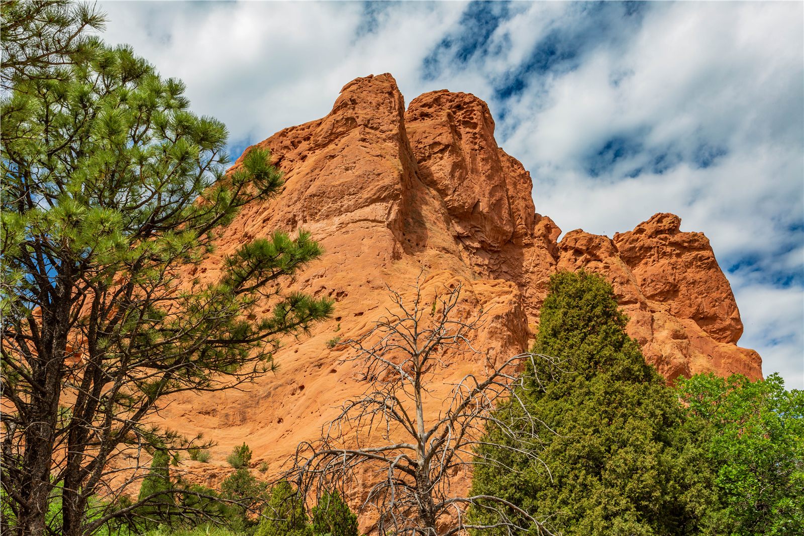 Red rock formation framed by evergreens beneath a dramatic sky