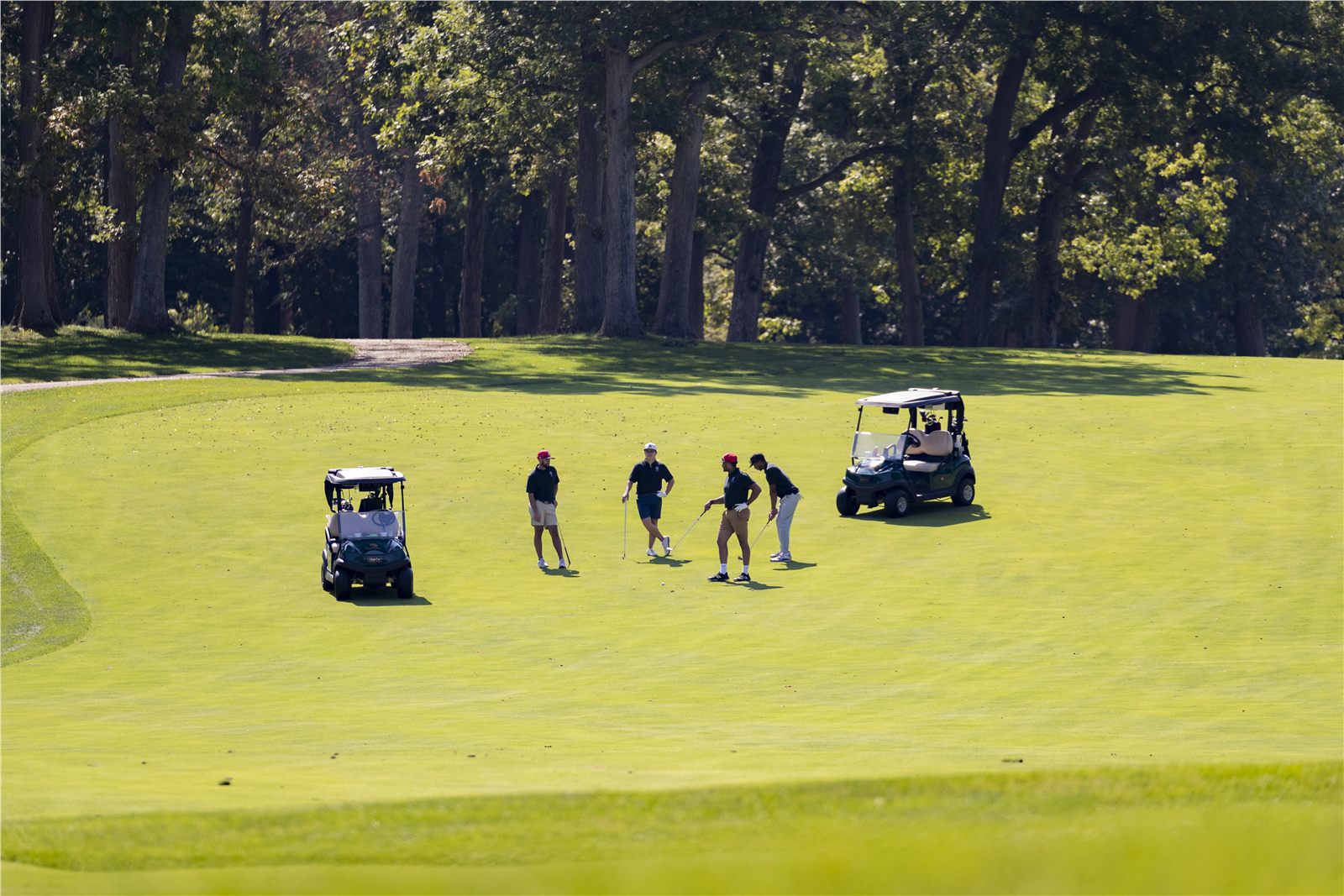 Golf foursome and carts gathered on a green course